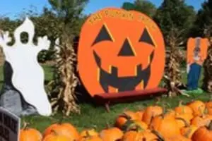 Cicero Pumkin Patch
