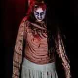 Cinema of Horrors Haunted House photo