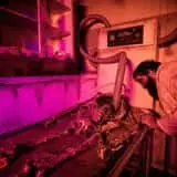 Cinema of Horrors Haunted House photo