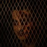 Brookdale Haunted Theater photo