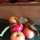 Apple Jack Orchards photo