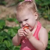 Apple Jack Orchards photo