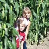 Apple Jack Orchards photo