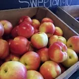 Apple Jack Orchards photo