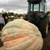 Apple Jack Orchards photo