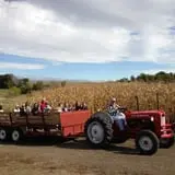 Apple Jack Orchards photo