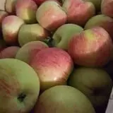 Apple Jack Orchards photo