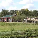 Apple Jack Orchards photo