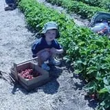 Apple Jack Orchards photo