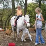 Apple Jack Orchards photo