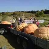 Apple Jack Orchards photo