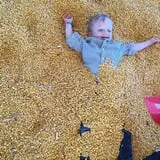 Apple Jack Orchards photo