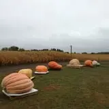 Apple Jack Orchards photo