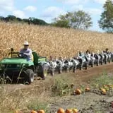 Apple Jack Orchards photo