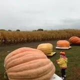 Apple Jack Orchards photo