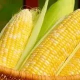 Magee Farms photo