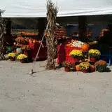 Magee Farms photo