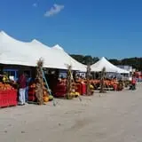 Magee Farms photo