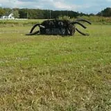 Magee Farms photo