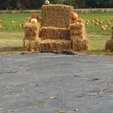 Magee Farms photo