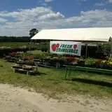 Magee Farms photo