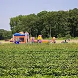 Magee Farms photo
