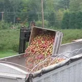 Green Mountain Orchards photo