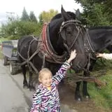 Green Mountain Orchards photo