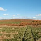 Green Mountain Orchards photo