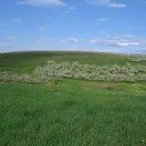 Green Mountain Orchards photo