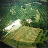 Green Mountain Orchards photo