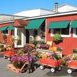 Green Mountain Orchards photo