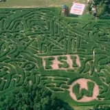 Kersey Valley Maize Adventure photo