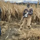 Haunted Corn Maze and The Amazing Corn Maze photo