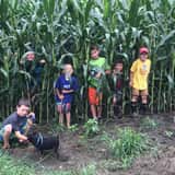 Haunted Corn Maze and The Amazing Corn Maze photo