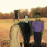 Snyder's Farm Fall Festival photo