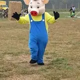 Snyder's Farm Fall Festival photo