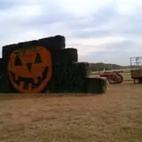 Snyder's Farm Fall Festival photo