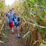 Snyder's Farm Fall Festival photo