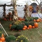 Snyder's Farm Fall Festival photo