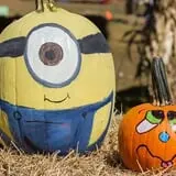 Snyder's Farm Fall Festival photo
