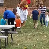 Snyder's Farm Fall Festival photo