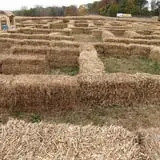 Snyder's Farm Fall Festival photo