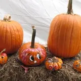 Snyder's Farm Fall Festival photo