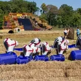 Snyder's Farm Fall Festival photo