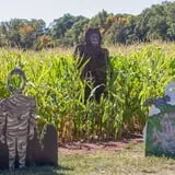 Snyder's Farm Fall Festival photo