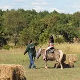 Snyder's Farm Fall Festival photo