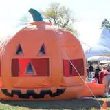 Snyder's Farm Fall Festival photo
