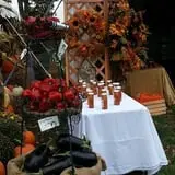 Snyder's Farm Fall Festival photo