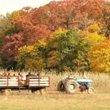 Snyder's Farm Fall Festival photo
